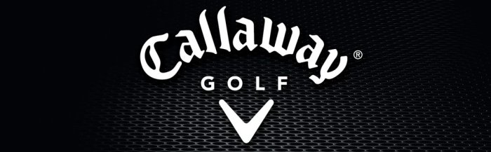 ~海賊王GOLF~ 二手球桿 CALLAWAY X18 超高反發開球桿 10度 ALDILA 桿身 遠距離 DRIVER