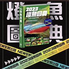 微笑的魚水族☆【2023 燈魚圖典】【魚雜誌 Fish Magazine】【工具書】水草缸靈魂魚隻 玩家推薦 必收藏