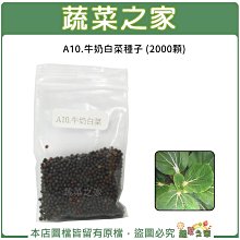 【蔬菜之家滿額免運】A10.牛奶白菜種子(白梗種.葉色墨綠，葉柄乳白，株型類似青江白菜，煮食口感極佳 )