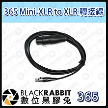 數位黑膠兔【 365 Mini-XLR to XLR 轉接線  】混音器 攝影機 手機 相機 收音 麥克風 轉接線