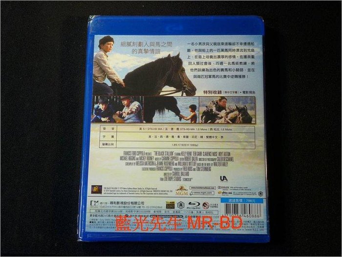 中陽 [藍光BD] - 黑神駒 The Black Stallion   - 細膩刻劃人與馬之間的真摯情誼
