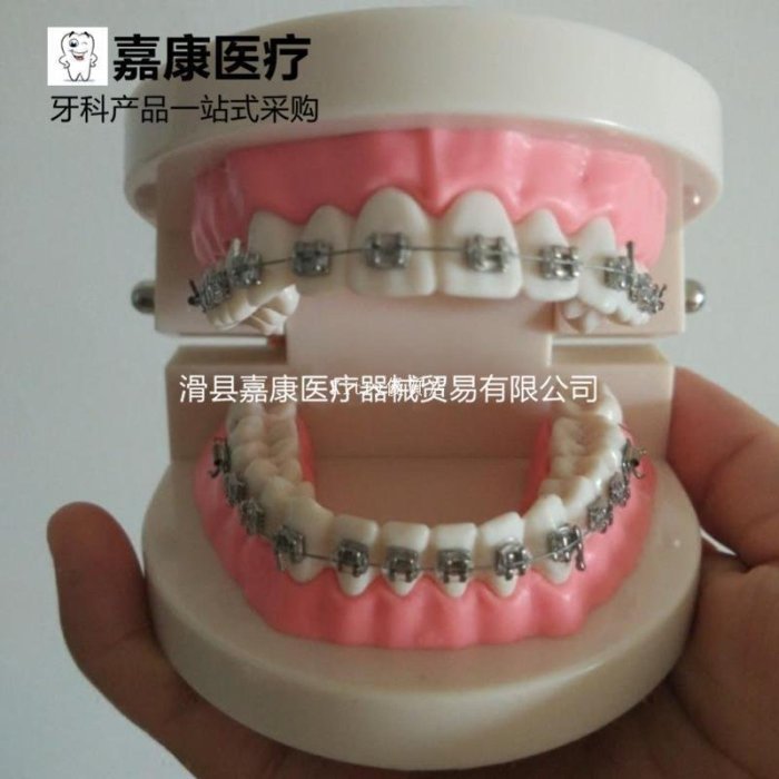 嘉康牙齒模型教學用口腔模型牙齒正畸模型帶托槽正畸齒科模型 促銷