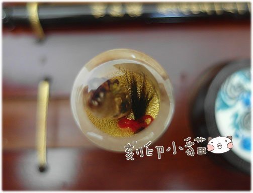 ~刻印小貓~親選6分六分頂級赤牛角竹節開運印章/印鑑-編號79號((含刻印))咖啡紅/圓章