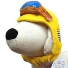 【🐱🐶培菓寵物48H出貨🐰🐹】卡哇伊》摩托車安全帽 3種顏色(L號) 特價349元