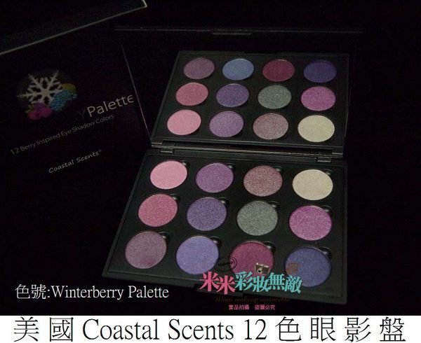 【米米彩妝無敵】美國原裝Coastal Scents 12色眼影盤 Winterberry Palette