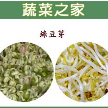 【蔬菜之家滿額免運】J10.綠豆芽種子30克(芽菜種子)