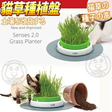 【🐱🐶培菓寵物48H出貨🐰🐹】Hagen Catit 》貓咪喵星2.0樂活系列貓草種植盤不含貓草 特價580元