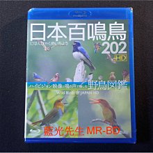 [藍光BD] - 日本百鳴鳥 202 野鳥圖鑑 Wild Birds Of Japan BD-50G - 收錄202種鳥