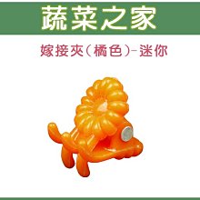 【蔬菜之家滿額免運009-C68】橘色嫁接夾(蘭花夾.固定夾)-(迷你)30入/組※此商品運費請選宅配※