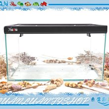【~魚店亂亂賣~】台灣HIROTA玻璃爬蟲箱RP-3520型(35*20*20cm) 兩棲.寵物缸(烏龜養殖缸)