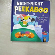 【書寶二手書T1／少年童書_CC6】Night-Night Peekaboo_Gareth Lucas