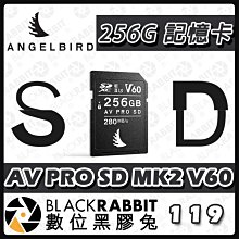 數位黑膠兔【 ANGELBIRD AV PRO SD MK2 V60 記憶卡 256GB 】讀280 寫160 公司貨