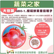 【蔬菜之家滿額免運00G80-1】大包裝.櫻福鮮果番茄種子0.22克(約70顆) // 粉紅番茄，口感佳甘甜鬆軟多汁