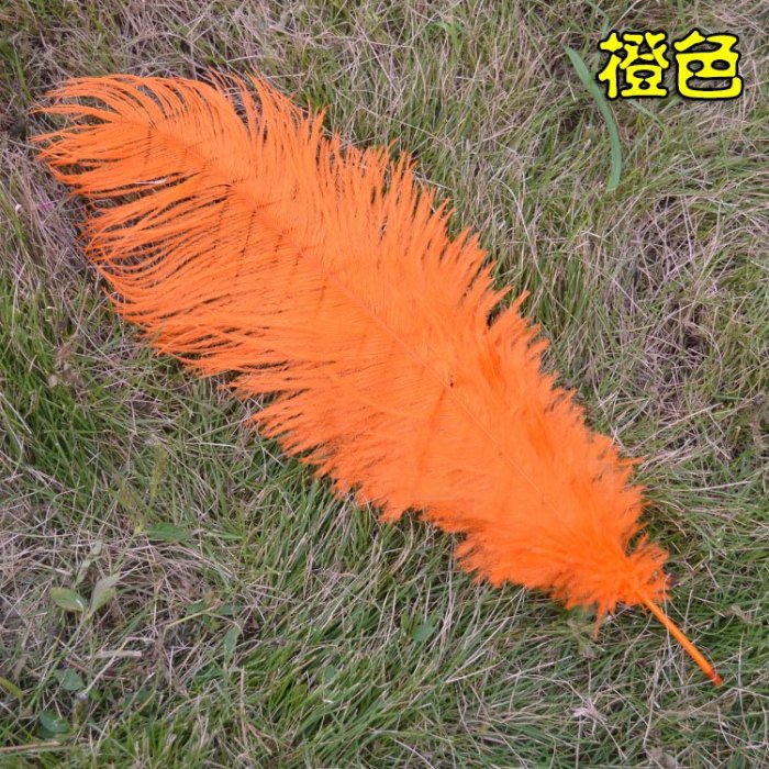 5色 羽毛 鴕鳥羽毛(40-45cm)DIY配件 硬羽毛 天然羽毛 軟羽毛 彩色羽毛 鴕鳥毛【P550021】塔克百貨