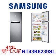 【泰宜電器】SAMSUNG 三星 RT43K6239SL 雙門冰箱 443公升【另有GN-BL418SV.RG439】