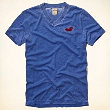 HOLLISTER 短袖T恤 324-369-0395-026  MY-麋鹿嚴選 全新真品 HCO AF A&F 海鷗