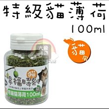 【大象樂園】Macchiato幸福時刻《38-MA-21 手摘純細葉-特級貓薄荷-100ml》