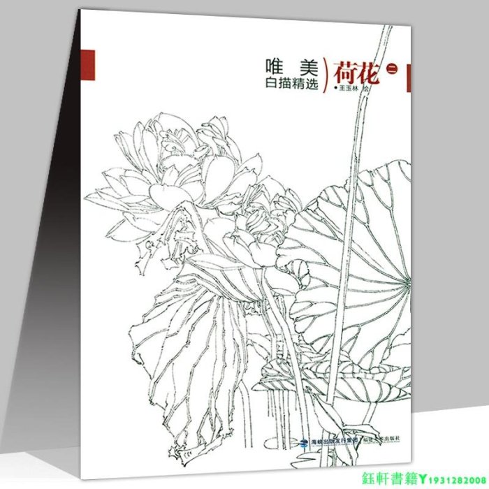 唯美白描精選荷花（二）中國畫白描工筆畫譜作品集荷花繪怎樣畫寫意工筆荷花畫法快速入門荷花十二品