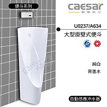 附發票 含稅 CAESAR凱撒 大型掛壁式便斗/背進水U0237/A634 純白《中部免運》【東益氏】