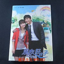 [藍光先生DVD] 風吹好日子 1-173集 十八碟套裝版 ( 采昌正版 )