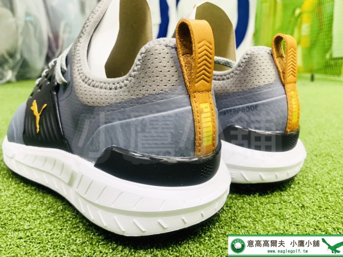 [小鷹小舖] PUMA GOLF IGNITE ARTICULATE 37623403 高爾夫 男仕球鞋 有釘