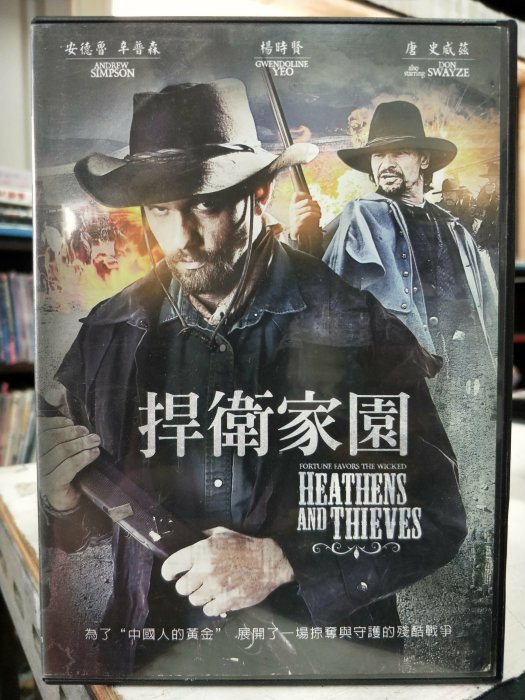 挖寶二手片-H09-024-正版DVD-電影【捍衛家園】-安德魯辛普森 楊時賢 唐史威茲(直購價)