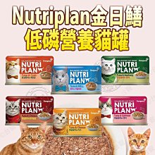 【🐱🐶培菓寵物48H出貨🐰🐹】韓國 Nutriplan 金日鱔 低磷風味罐 原肉  貓罐 貓副食罐 160g