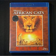 [藍光BD] - 非洲野貓 African Cats - 紀錄非洲大草原上的生命之歌