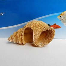 RR1530A 微笑的魚水族☆美國PENN-PLAX龐貝【精緻噴砂系列 造型小貝殼 B (單一隻)】