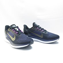 NIKE AIR WINFLO 9 男 慢跑鞋 全掌式氣墊 大尺碼 DD6203007 黑x金【iSport】