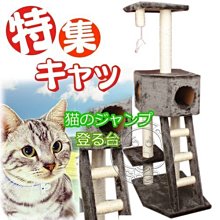 【🐱🐶培菓寵物48H出貨🐰🐹】讓貓咪上下運動☆貓跳台樓梯遊戲屋 (附樓梯) 特價699元 限宅配 (蝦)