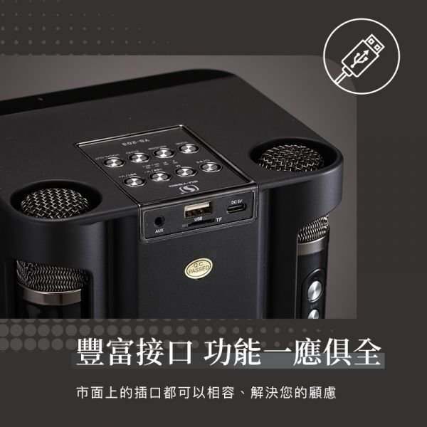 台南PQS Mild Life YS-203 無線麥克風音響 行動KTV 藍芽喇叭 消除原聲 100W大功率音響