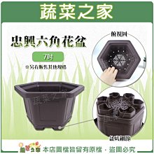 【蔬菜之家滿額免運】忠興六角花盆 7吋 (加厚材質)不適用郵寄掛號配送※請選擇超商或宅配運送