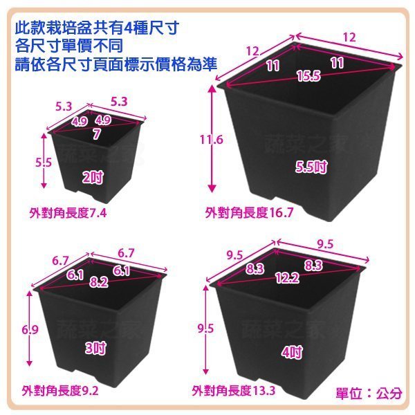 【蔬菜之家滿額免運】四方型栽培盆2吋-黑色(厚)//適用多肉植物※不適用郵寄掛號※