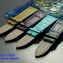 【時間探索】 全新純正鱷魚皮 Franck Muller  代用進口高級錶帶-快拆式  ( 23mm )