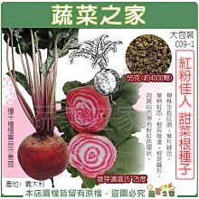 【蔬菜之家滿額免運】大包裝C09-1.紅粉佳人甜菜根種子55克(約4000顆)  ※不適用郵寄