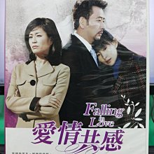 影音大批發-S31-016-正版DVD-韓劇【愛情共感／共6片24集】-全光烈 李美淑 甄美麗(直購價)