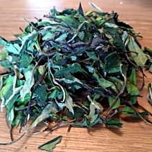 福鼎白茶 [明海園] 2017 華茶一號 福鼎大白茶 頭春 50克 散茶