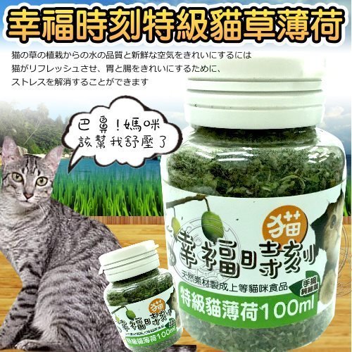 【🐱🐶培菓寵物48H出貨🐰🐹】幸福時刻》頂級貓草細葉100ml/瓶 特價85元(自取不打折)