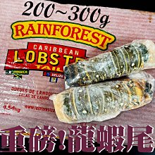 ㊣盅龐水產◇龍蝦尾200/300◇重量230g±10%/隻◇零$620/隻◇肉質鮮甜大尾Q彈 龍蝦肉 歡迎團購批發