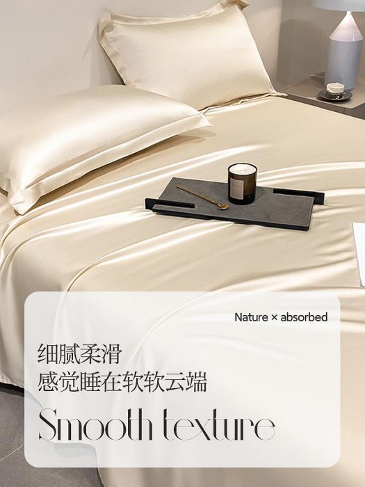 潔麗雅100天絲枕套一對裝48X74cm真絲枕套單個家用枕芯內膽套夏季