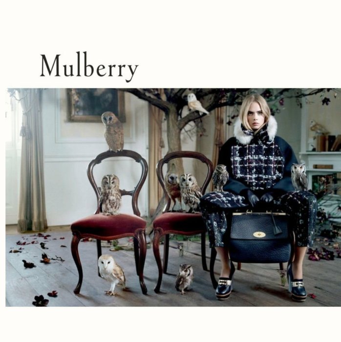 Mulberry ► ( 深橡木棕色×金屬金色鎖頭） 真皮兩摺長夾 皮夾 錢包 中性款｜100%全新正品｜特價！