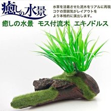 微笑的魚水族☆日本GEX-五味【水草流木(大) #151507】