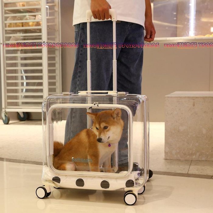 寵物拉桿箱貓包狗狗外出旅行箱便攜透明貓咪行李箱手提出行攜帶箱-zero潮流屋