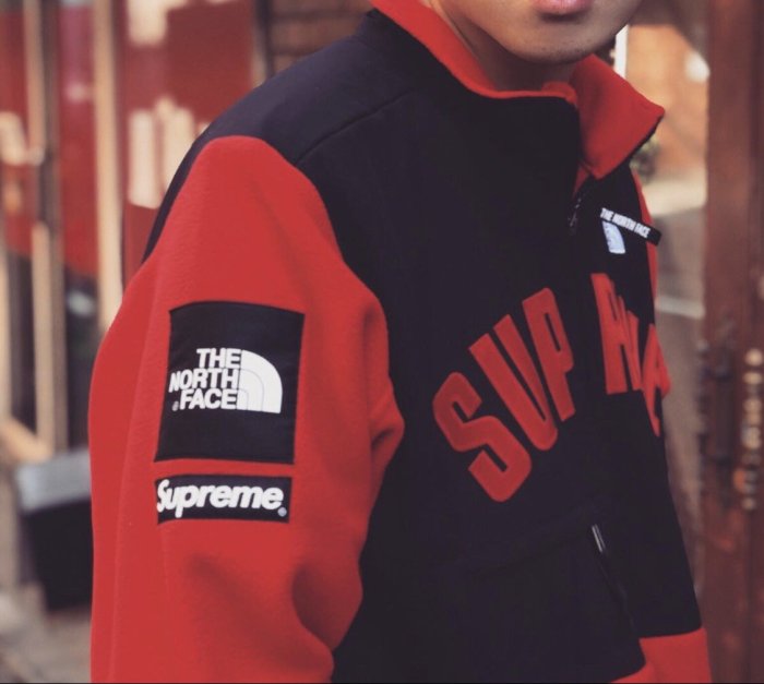 超搶手】19 Supreme The North Face Arc Logo Denali Fleece Jacket