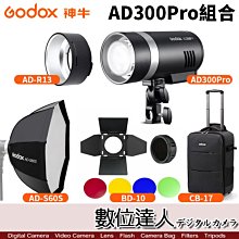 【數位達人】GODOX 神牛 AD300PRO＋ADR13反射罩＋BD10 專用四頁＋ADS60S柔光罩＋CB17拉桿箱