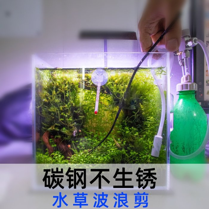 現貨水草缸彎剪刀不銹鋼波浪剪ada不銹鋼小剪刀修剪工具魚缸修剪器