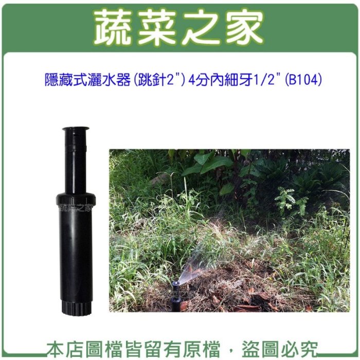 【蔬菜之家滿額免運007-AB104】隱藏式灑水器(跳針2")4分內細牙1/2"(B104)※運費請選擇宅配※