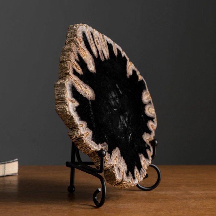 天然木化石切片桌面擺件博古架格子樹化石裝飾擺飾設計師樣板房~好物特價