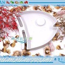 【~魚店亂亂賣~】諾摩NOMO兩棲爬蟲魚頭NW-19(大)水盤/食盤(15x14x2.4cm)飼料盆/水盆